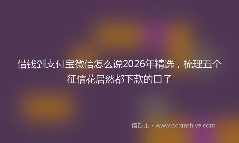 借钱到支付宝微信怎么说2026年精选，梳理五个征信花居然都下款的口子