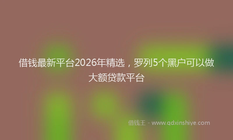 借钱最新平台2026年精选，罗列5个黑户可以做大额贷款平台