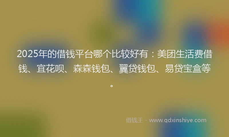 2025年的借钱平台哪个比较好有：美团生活费借钱、宜花呗、森森钱包、翼贷钱包、易贷宝盒等。