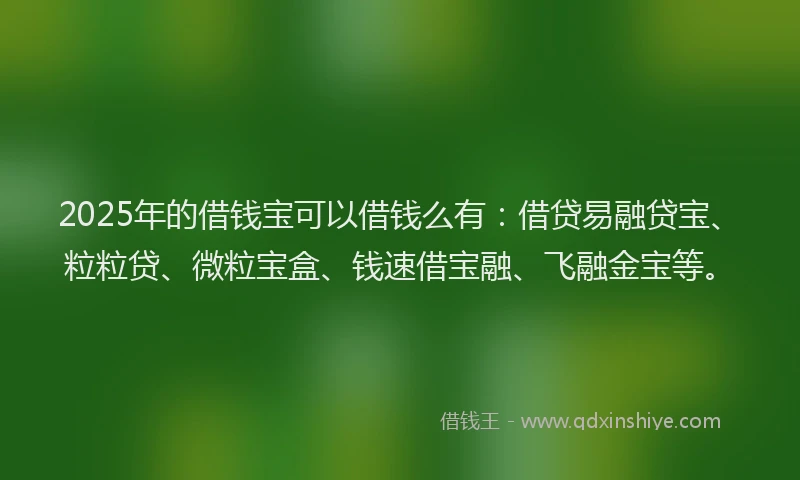 2025年的借钱宝可以借钱么有：借贷易融贷宝、粒粒贷、微粒宝盒、钱速借宝融、飞融金宝等。