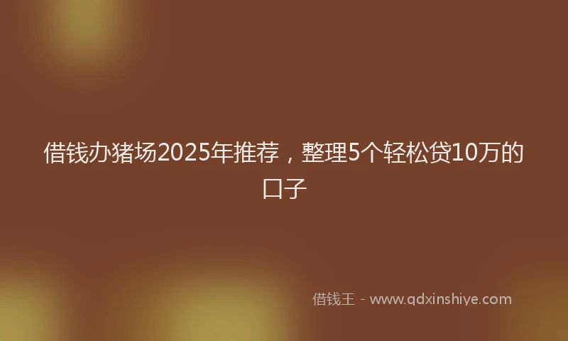 借钱办猪场2025年推荐，整理5个轻松贷10万的口子