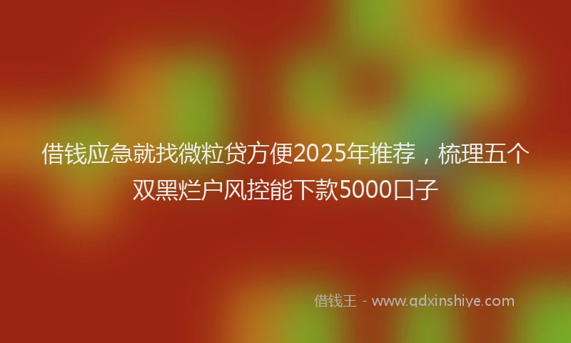 借钱应急就找微粒贷方便2025年推荐，梳理五个双黑烂户风控能下款5000口子