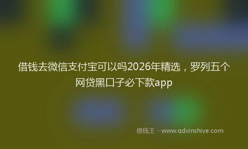 借钱去微信支付宝可以吗2026年精选，罗列五个网贷黑口子必下款app