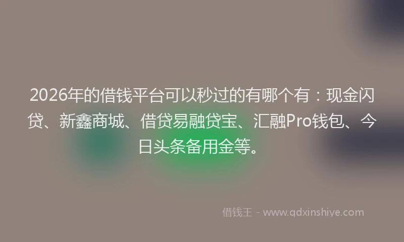 2026年的借钱平台可以秒过的有哪个有：现金闪贷、新鑫商城、借贷易融贷宝、汇融Pro钱包、今日头条备用金等。
