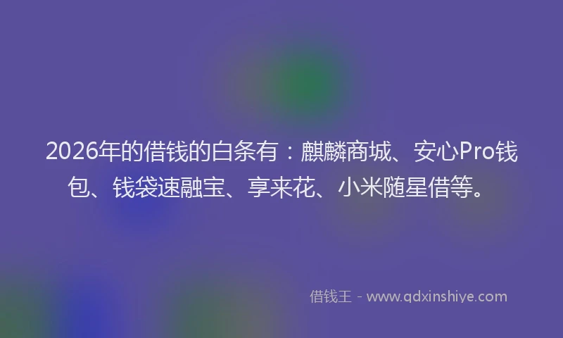 2026年的借钱的白条有：麒麟商城、安心Pro钱包、钱袋速融宝、享来花、小米随星借等。