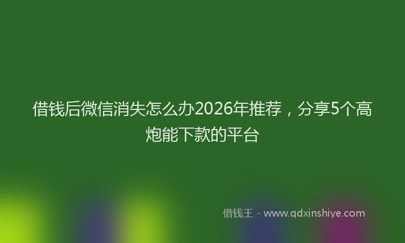 借钱后微信消失怎么办2026年推荐，分享5个高炮能下款的平台