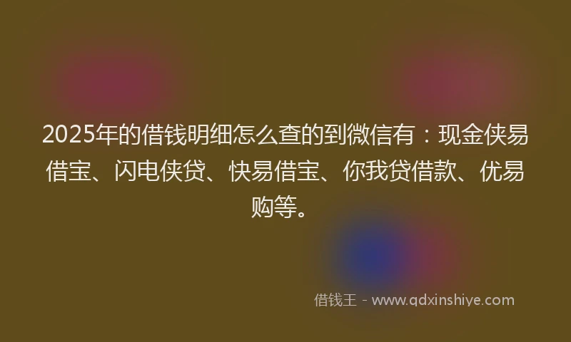 2025年的借钱明细怎么查的到微信有：现金侠易借宝、闪电侠贷、快易借宝、你我贷借款、优易购等。