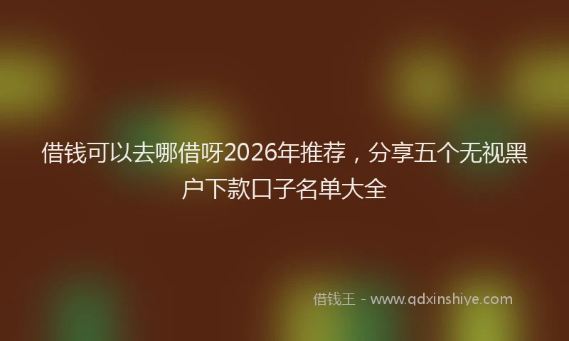 借钱可以去哪借呀2026年推荐，分享五个无视黑户下款口子名单大全