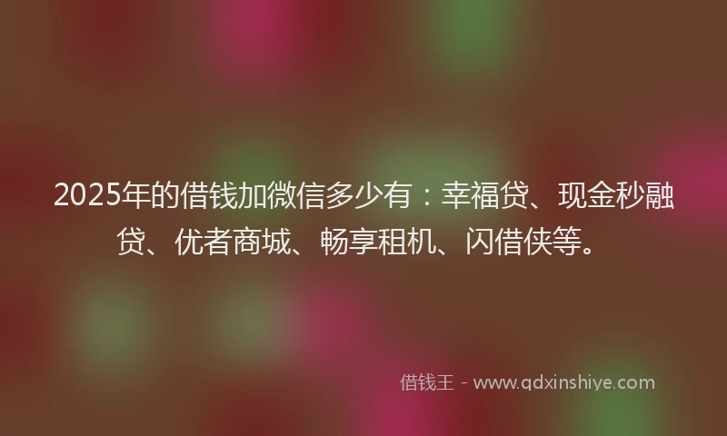2025年的借钱加微信多少有：幸福贷、现金秒融贷、优者商城、畅享租机、闪借侠等。