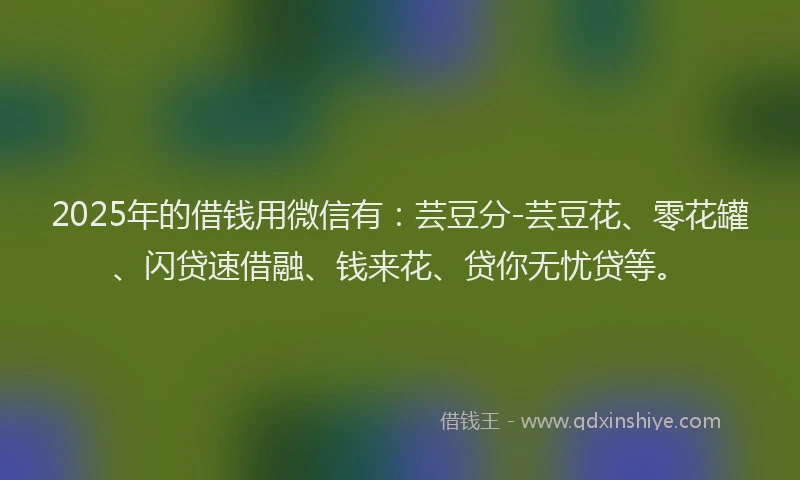 2025年的借钱用微信有:芸豆分-芸豆花、零花罐、闪贷速借融、钱来花、贷你无忧贷等。
