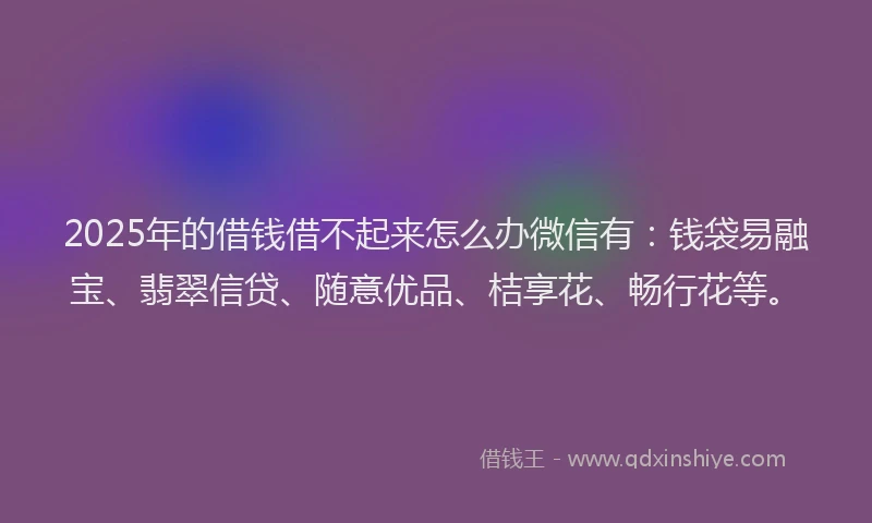 2025年的借钱借不起来怎么办微信有：钱袋易融宝、翡翠信贷、随意优品、桔享花、畅行花等。