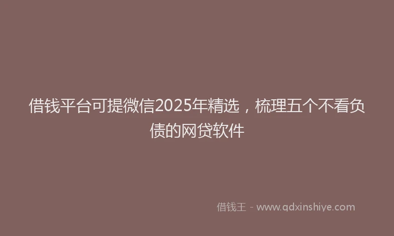 借钱平台可提微信2025年精选，梳理五个不看负债的网贷软件