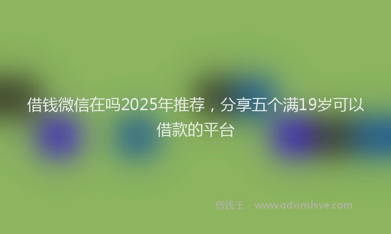 借钱微信在吗2025年推荐,分享五个满19岁可以借款的平台