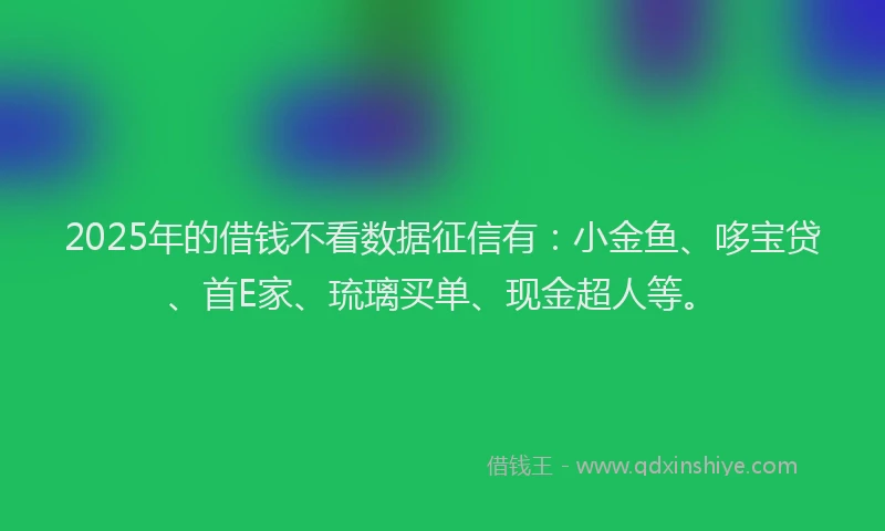2025年的借钱不看数据征信有：小金鱼、哆宝贷、首E家、琉璃买单、现金超人等。
