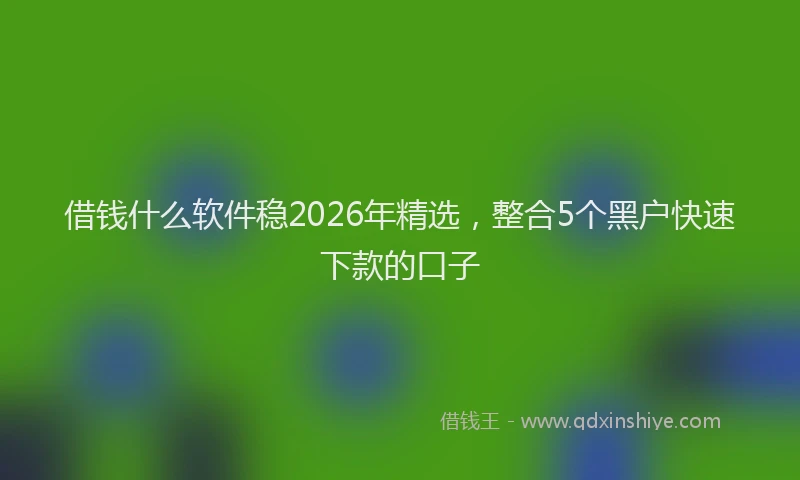 借钱什么软件稳2026年精选,整合5个黑户快速下款的口子