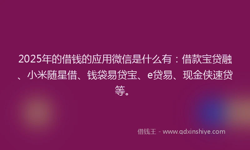 2025年的借钱的应用微信是什么有：借款宝贷融、小米随星借、钱袋易贷宝、e贷易、现金侠速贷等。