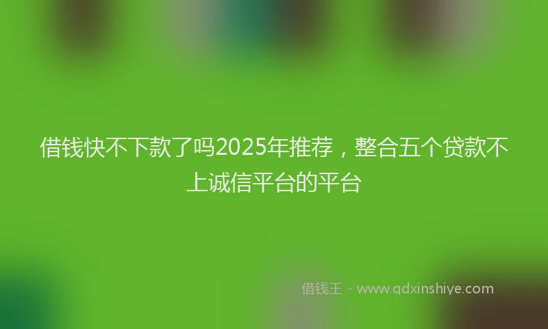 借钱快不下款了吗2025年推荐，整合五个贷款不上诚信平台的平台