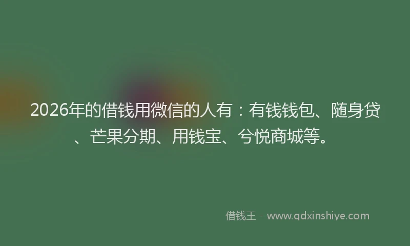 2026年的借钱用微信的人有：有钱钱包、随身贷、芒果分期、用钱宝、兮悦商城等。