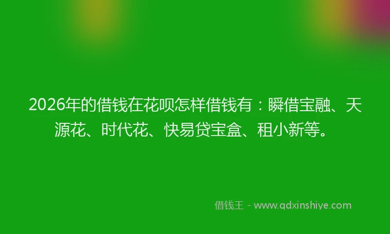2026年的借钱在花呗怎样借钱有：瞬借宝融、天源花、时代花、快易贷宝盒、租小新等。