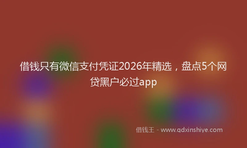 借钱只有微信支付凭证2026年精选，盘点5个网贷黑户必过app