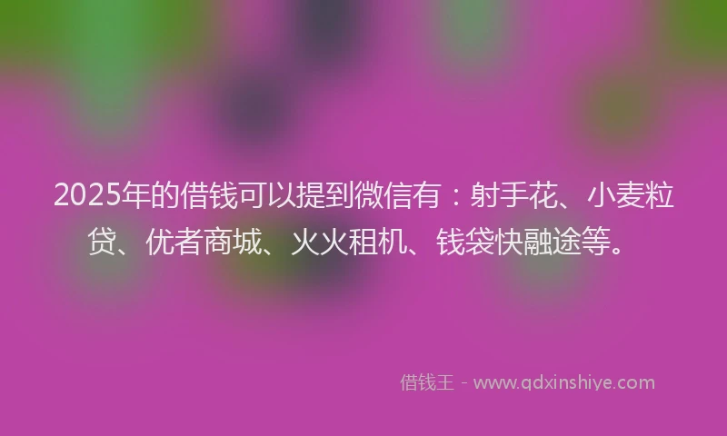 2025年的借钱可以提到微信有:射手花、小麦粒贷、优者商城、火火租机、钱袋快融途等。