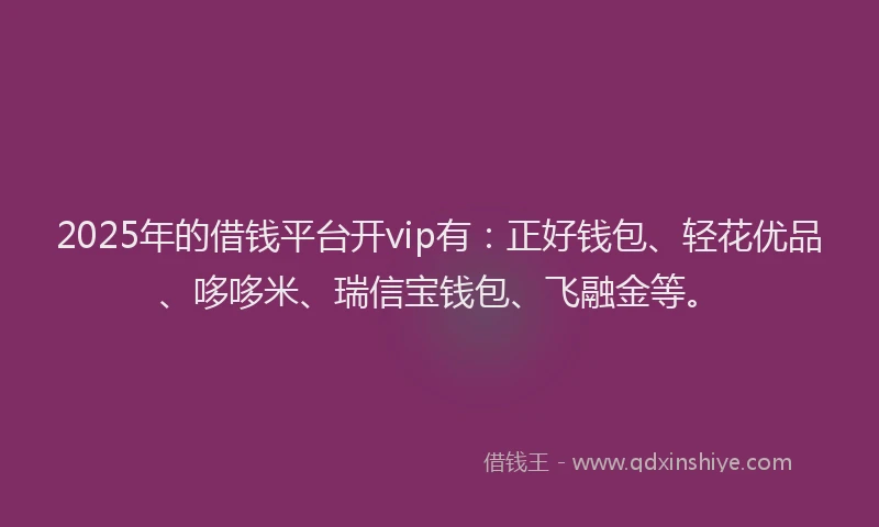 2025年的借钱平台开vip有：正好钱包、轻花优品、哆哆米、瑞信宝钱包、飞融金等。