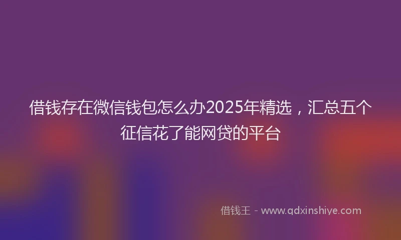 借钱存在微信钱包怎么办2025年精选，汇总五个征信花了能网贷的平台