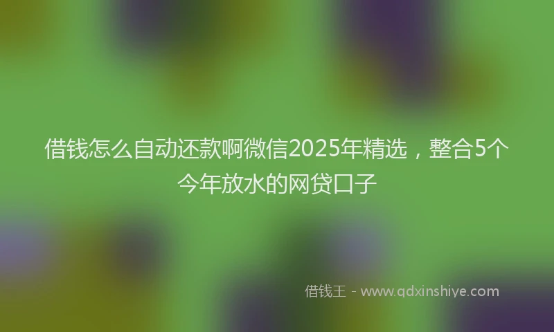 借钱怎么自动还款啊微信2025年精选，整合5个今年放水的网贷口子