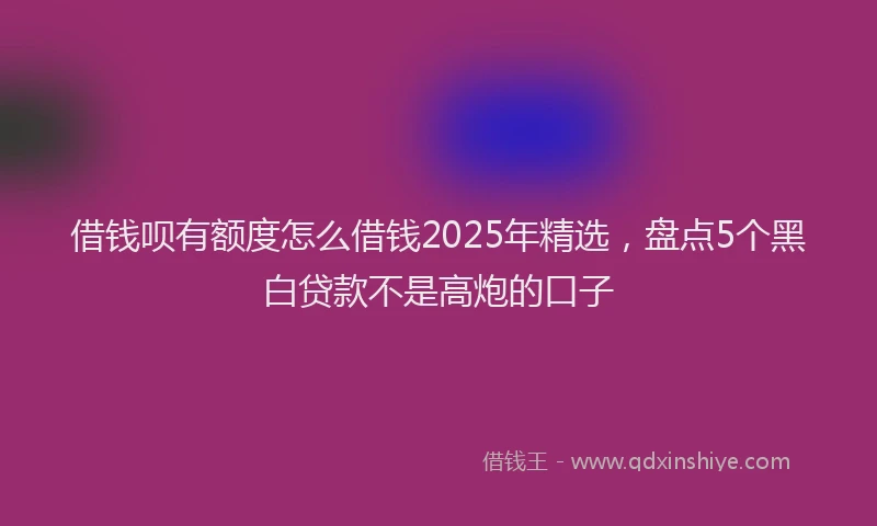 借钱呗有额度怎么借钱2025年精选，盘点5个黑白贷款不是高炮的口子