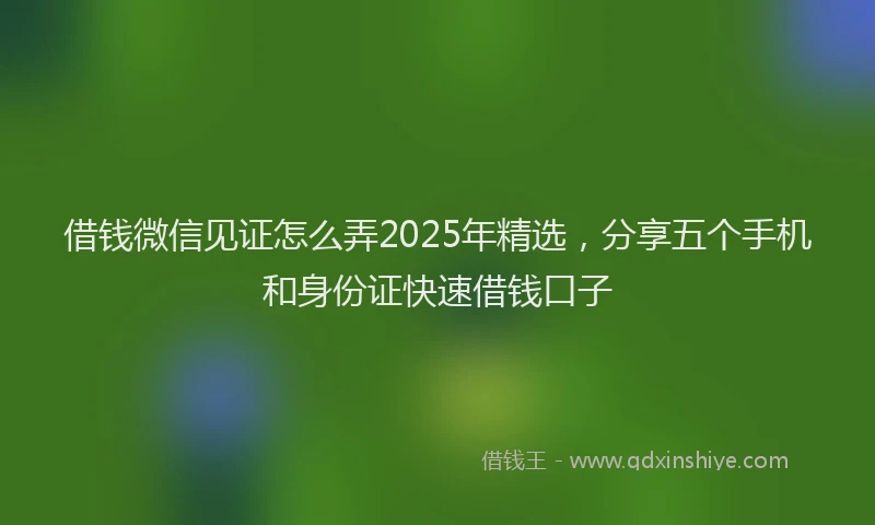 借钱微信见证怎么弄2025年精选,分享五个手机和身份证快速借钱口子
