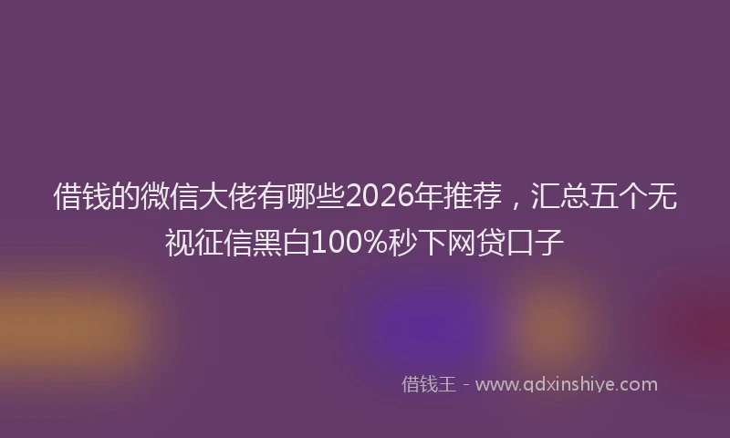 借钱的微信大佬有哪些2026年推荐，汇总五个无视征信黑白100%秒下网贷口子