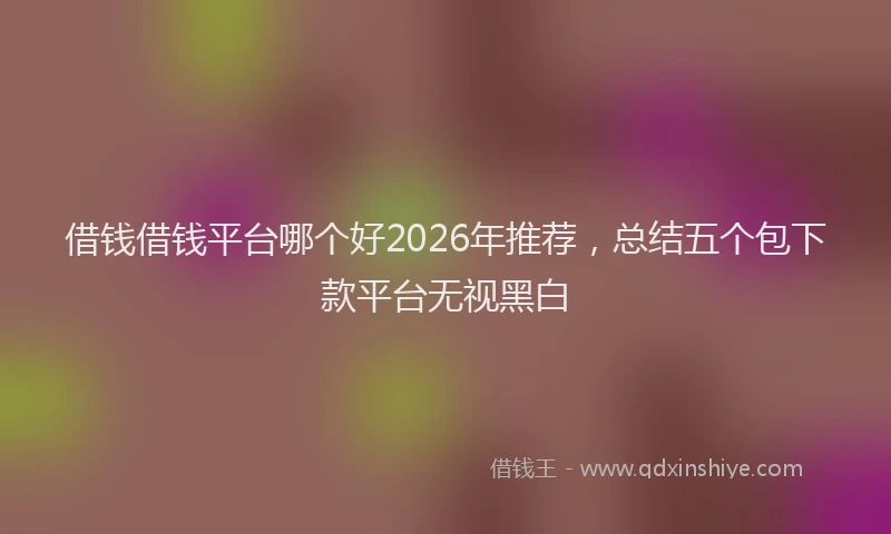 借钱借钱平台哪个好2026年推荐，总结五个包下款平台无视黑白
