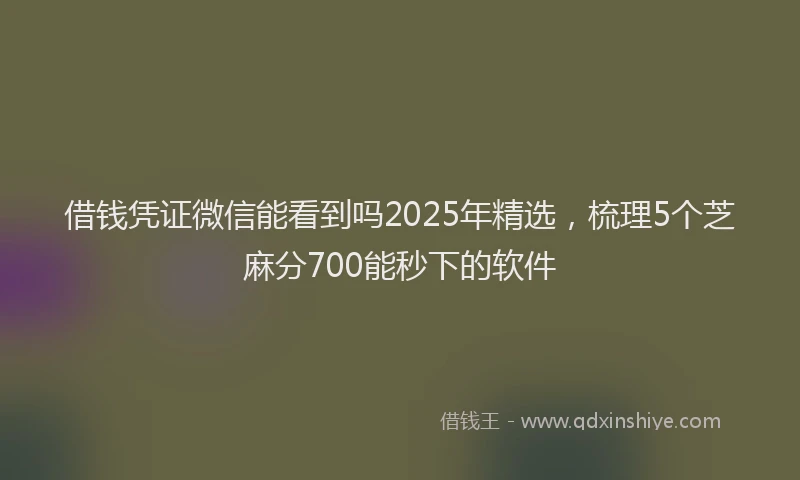 借钱凭证微信能看到吗2025年精选,梳理5个芝麻分700能秒下的软件
