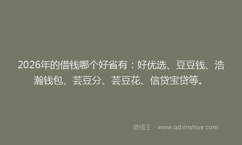 2026年的借钱哪个好省有:好优选、豆豆钱、浩瀚钱包、芸豆分、芸豆花、信贷宝贷等。