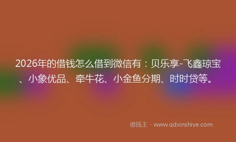 2026年的借钱怎么借到微信有：贝乐享-飞鑫琼宝、小象优品、牵牛花、小金鱼分期、时时贷等。