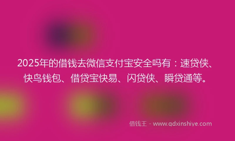2025年的借钱去微信支付宝安全吗有：速贷侠、快鸟钱包、借贷宝快易、闪贷侠、瞬贷通等。