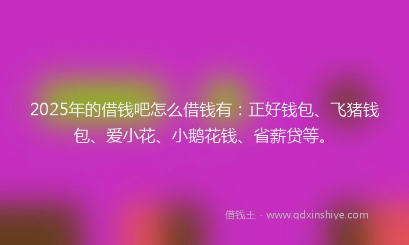 2025年的借钱吧怎么借钱有：正好钱包、飞猪钱包、爱小花、小鹅花钱、省薪贷等。