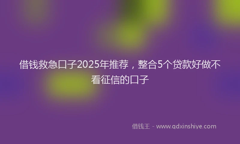 借钱救急口子2025年推荐,整合5个贷款好做不看征信的口子