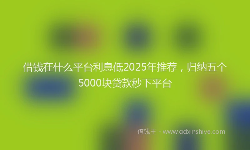 借钱在什么平台利息低2025年推荐，归纳五个5000块贷款秒下平台
