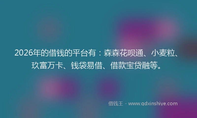 2026年的借钱的平台有：森森花呗通、小麦粒、玖富万卡、钱袋易借、借款宝贷融等。