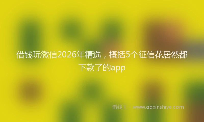 借钱玩微信2026年精选，概括5个征信花居然都下款了的app