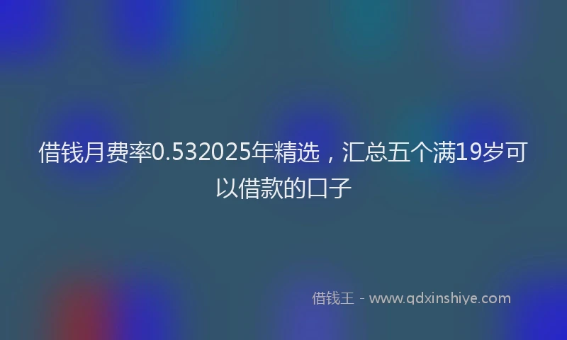 借钱月费率0.532025年精选，汇总五个满19岁可以借款的口子