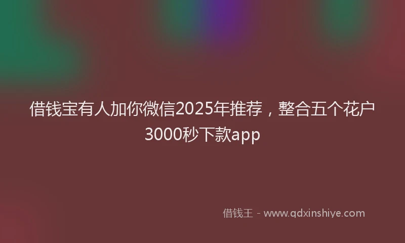 借钱宝有人加你微信2025年推荐，整合五个花户3000秒下款app