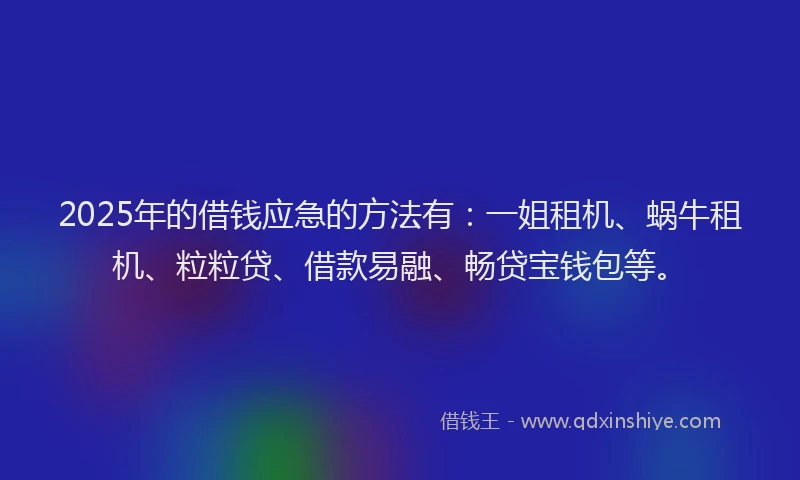 2025年的借钱应急的方法有：一姐租机、蜗牛租机、粒粒贷、借款易融、畅贷宝钱包等。