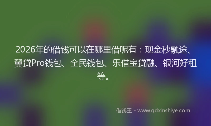 2026年的借钱可以在哪里借呢有：现金秒融途、翼贷Pro钱包、全民钱包、乐借宝贷融、银河好租等。