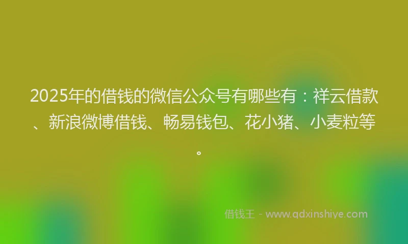 2025年的借钱的微信公众号有哪些有：祥云借款、新浪微博借钱、畅易钱包、花小猪、小麦粒等。