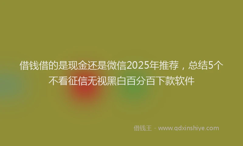 借钱借的是现金还是微信2025年推荐，总结5个不看征信无视黑白百分百下款软件