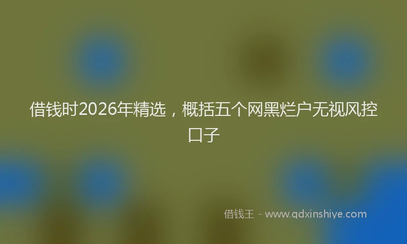 借钱时2026年精选，概括五个网黑烂户无视风控口子