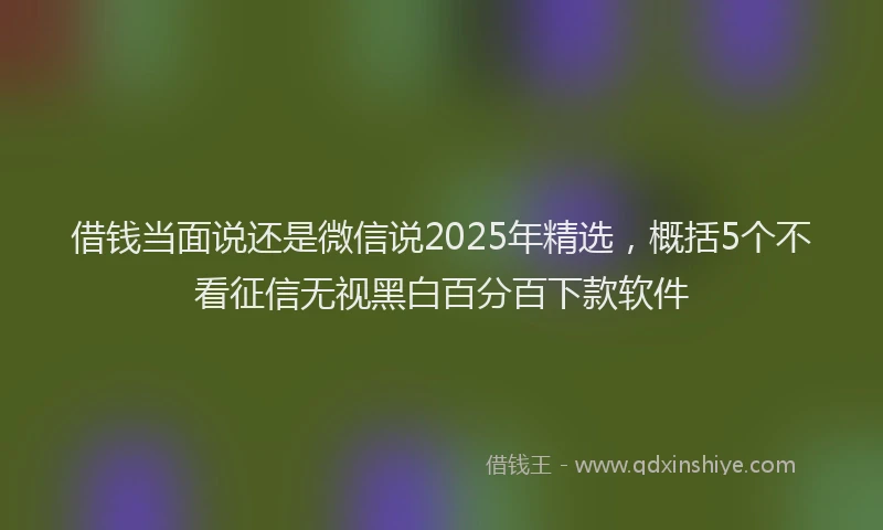 借钱当面说还是微信说2025年精选，概括5个不看征信无视黑白百分百下款软件