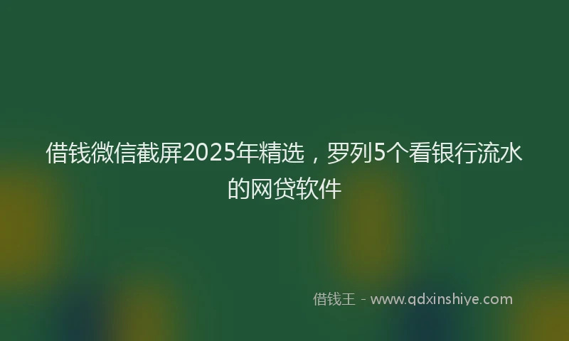 借钱微信截屏2025年精选，罗列5个看银行流水的网贷软件